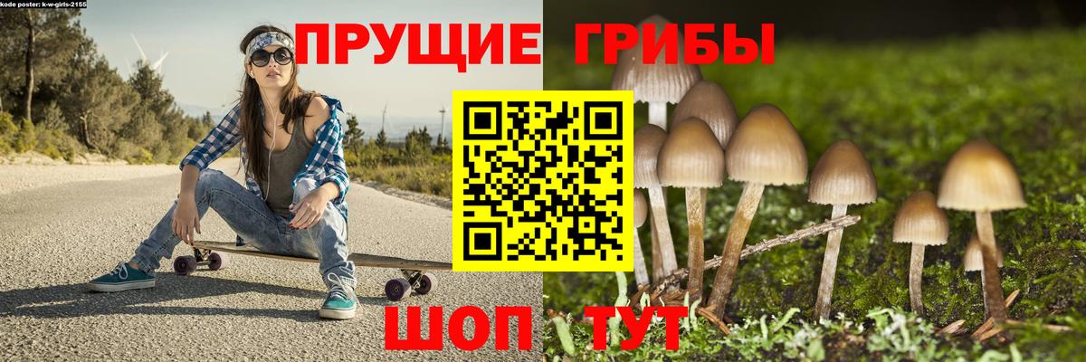 Галлюциногенные грибы мухоморы Бузулук